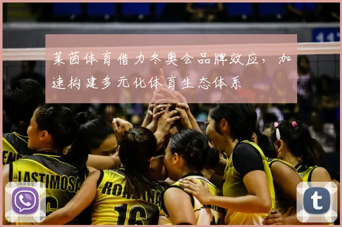莱茵体育借力冬奥会品牌效应，加速构建多元化体育生态体系